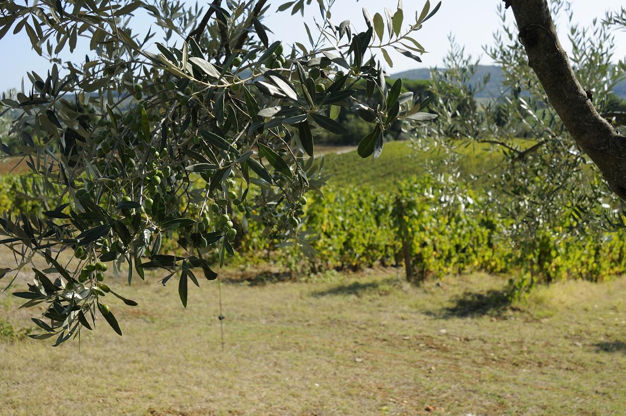 Villa S.Andrea Antico Podere Zobi San Casciano in Val di Pesa Exterior foto